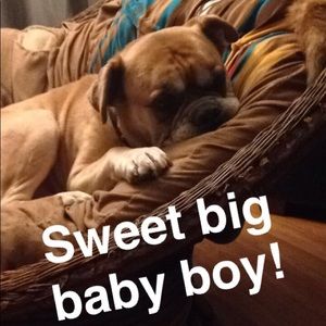 Meet your Posher, Anna